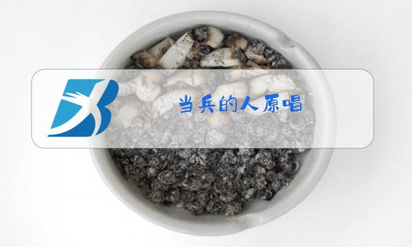 当兵的人原唱 刘斌让我们荡起双桨图片